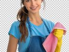 Daily / Staying Housemaids Service