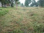 Daladagama, Kurunegala 80 Perches Land for Sale (SSPL-334)