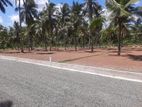 Dambadeniya Commercial Land Plots For Sale In Kurunegala 5 Road