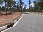 Dambadeniya Commercial Land Plots For Sale Near to Dambadaniya town