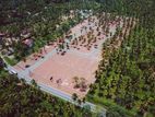 Dambadeniya Highly Commercial Residential Land Plots For Sale