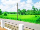 Dambadeniya Land for Sale -p3
