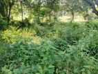 DAMBULLA : 236 PERCHES COMMERCIAL LAND FOR SALE