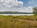Dambulla 53 Acre Land for Sale ( 15 Minutes to Sigiriya Town )