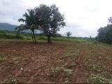 Dambulla-Best Land Near the Proposed Highway for Sale