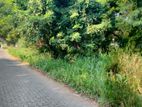Dambulla Commercial Land For Sale (NK11276)
