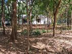 Dambulla Facing Kandalama Rd 169 P Land with A House Is for Lease.