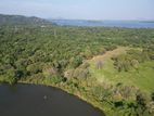 Dambulla kandalama lake facing land for sale