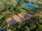Dambulla Kapuwatte Land for Sale