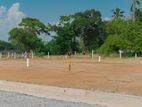 Dambulla Lakeview Land for Sale
