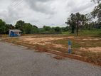 Dambulla Palwehera