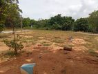 Dambulla Palwehera Land for Sale