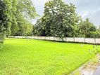 Dambulla Town Land for Sale