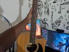 Dame Acoustic Guitar