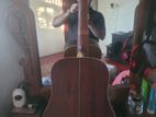 Dame Guitar