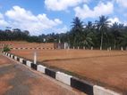 Dammpe Road Highly Residential Land Plots for Sale Watareka