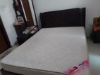 Damro Bed