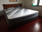 Damro Bed