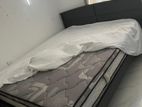 Damro Bed with Mattress