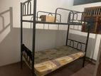 Damro Bunk Bed