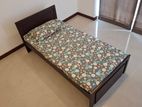 Damro Single Bed