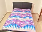 Damro Single Bed