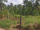 Dankotuwa Haldanduwana 60 Perches Land For Sale
