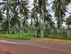 Dankotuwa - Mellawa 13.5 Acres Coconut Estate For Sale