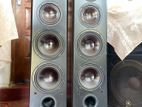 Danmax 4 Way Speaker Buffels