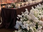 Dark Brown Head Table Cloth