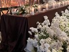 Dark Brown Wedding Head Table Cloth