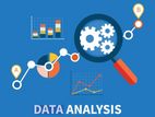 Data Analysis Assignment Help