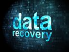 Data Recovery (Micro SD Card/ Cards/ Personal Data) Mobile