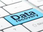 Data Recovery - Server Files|Operating System Working Files