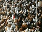Day Old Country Chicks