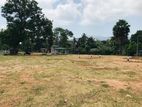 දබුල්ල නුවර ප්‍රධාන බස් පාරට නුදුරින් අගනා ඉඩමක් අපෙන්