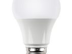 DC Solar LED Bulbs 3W