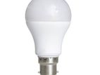 DC Solar LED Bulbs