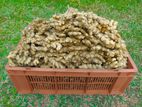 දේශීය බීජ ඉගුරු - Ginger Seeds
