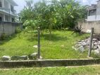 Dehiwala - 10 Perches Land For Sale in Bellanthara Road