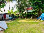 Dehiwala : 11 Perches Commercial Land for Sale