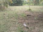 Dehiwala : 17.5 P Highly Residential Land for Sale at Attidiya