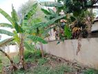 DEHIWALA ALLEN AVENUE 11P OF PRIME BARE LAND FOR SALE