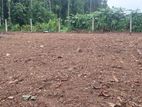 Dehiwala Attidiya 3 Perch Residential Land for Sale