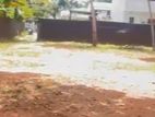 Dehiwala Bellantoata Land for Sale ( RLS- 774 )
