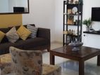 Dehiwala - Fully Furnished Apartment for Rent