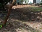 Dehiwala Kalubowila Off Hospital Rd Rathnawali 9.27P Land For Sale
