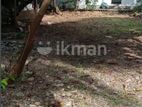 Dehiwala Kalubowila Off Hospital Rd Rathnawali 9.27P Land For Sale