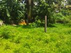Dehiwala Mantrimulla Road 6 Perches Land for Sale.