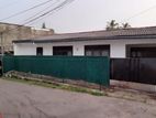 Dehiwala Nadimala Single Story House Available For Sale